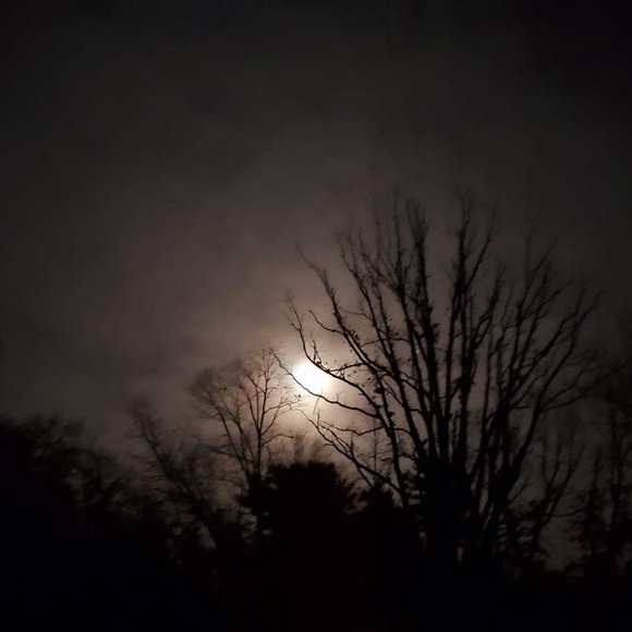 Meet your Posher,Aubree - Picture 3 of 12